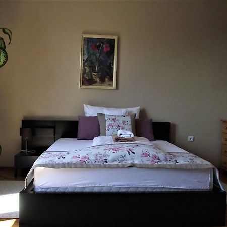 Panorama Apartman Mór Buitenkant foto
