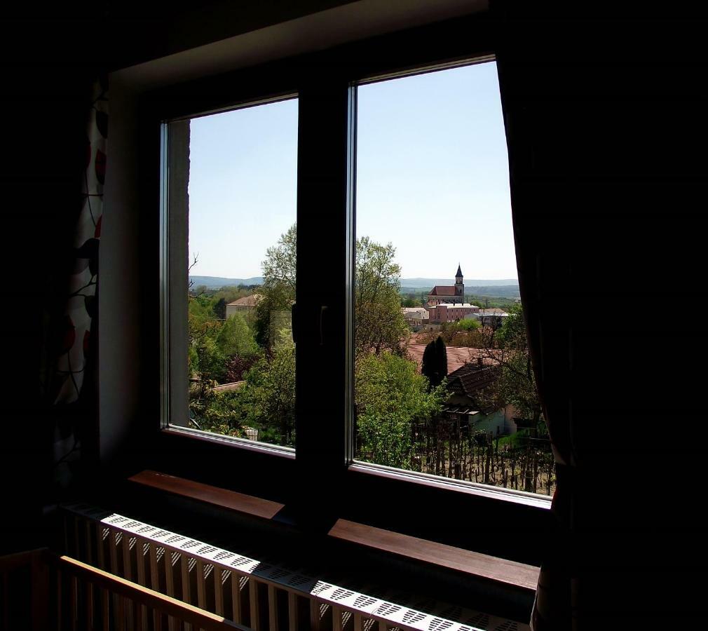 Panorama Apartman Mór Buitenkant foto